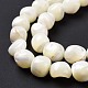 Natural Trochid Shell Beads Strands(SSHEL-G023-04A)-4