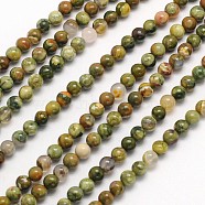 Round Natural Rhyolite Jasper Beads Strands, 4mm, Hole: 1mm, about 90pcs/strand, 15.5 inch(G-N0166-39-4mm)