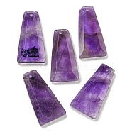 Natural Amethyst Pendants, Faceted Trapezoid Charms, 25x13x4mm, Hole: 1mm(G-G123-02G)