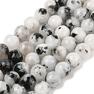 Natural Rainbow Moonstone Beads Strands, Round, 8mm, Hole: 0.8mm, about 47pcs/strand, 15.39''(39.1cm)(G-Q1001-A05-03-01)