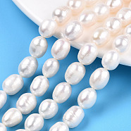 Natural Cultured Freshwater Pearl Beads Strands, Rice, Seashell Color, 9.7~11.5x8.3~9mm, Hole: 0.7~0.8mm, about 17~18pcs/strand, 7.09 inch(18cm)(PEAR-N012-08J)