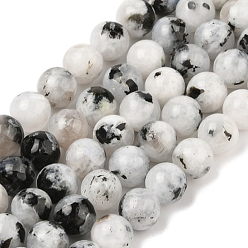 Natural Rainbow Moonstone Beads Strands, Round, 8mm, Hole: 0.8mm, about 47pcs/strand, 15.39''(39.1cm)