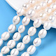 Natural Cultured Freshwater Pearl Beads Strands(PEAR-N012-08J)-1