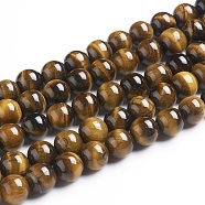 Round Tiger Eye Beads Strands, Grade AB+, Dark Goldenrod, 10mm, Hole: 1mm, about 40pcs/strand(Z0RQT013)