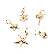Brass Pendants, with 304 Stainless Steel Jump Rings, Shell & Starfish & Coconut Tree & Helm, Golden, 10~18.5x6.5~15.5x1~3mm, Hole: 4.6mm(PALLOY-JF01771)