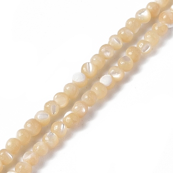 Natural Trochid Shell/Trochus Shell Beads Strands, Round, BurlyWood, 3mm, Hole: 0.8mm, about 128pcs/strand, 15.28 inch(38.8cm)