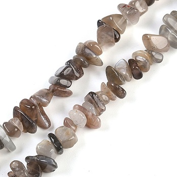 Natural Black Sunstone Beads Strands, Chip, 6~12x1.5~6x4~7mm, hole: 1mm, 31.50''(80cm)