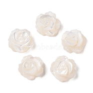 Natural White Shell Beads, Flower, Half Drilled, Seashell Color, 10x4mm, Hole: 1mm(SSHEL-C012-06)