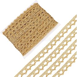 Metallic Lace Trim, Craft Ribbon for Bridal Costume Crafts and Sewing, Gold, 3/8 inch(9~10mm), about 20 Yards/card(MCOR-WH0003-03D)