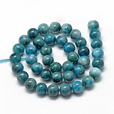 Natural Apatite Beads Strands(G-R446-6mm-11)-2
