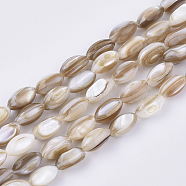 Freshwater Shell Beads Strands, Oval, Wheat, 9x5mm, Hole: 1mm, about 44pcs/strand, 14.37 inch(36.5cm)(X-SHEL-S276-34B)