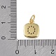 Rack-Beschichtung Messing Micro Pave klar Cubic Zirkonia Charms(KK-E110-14G-O)-3