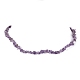 Natural Amethyst Chip Beaded Necklace(NJEW-JN04615-06)-1