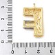 Brass Pendants(PALLOY-S036-01G-F)-3