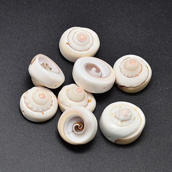 Shiva Eye Shell Beads, PapayaWhip, 17~20x6~13mm, Hole: 1mm