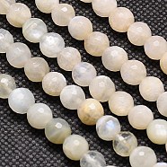 Natural White Moonstone Beads Strands, Faceted, Round, Navajo White, 6mm, Hole: 1mm, about 60pcs/strand, 15.2 inch(X-G-G549-6mm-01)