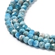 Natural Apatite Beads Strands(G-J400-E04-01)-4