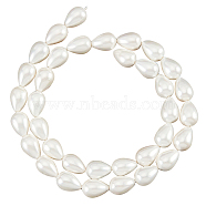 1 Strands Natural Shell Beads Strands, Teardrop, White, 11x8mm, Hole: 0.7mm, about 35pcs/strand, 15.94''(40.5cm)(BSHE-NB0001-25)