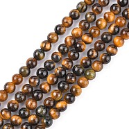 Natural Tiger Eye Beads Strands, Grade A, Round, Goldenrod, 3mm, Hole: 1mm, about 122pcs/strand, 15 inch(X-G-G099-3mm-4)