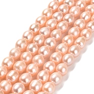Natural Cultured Freshwater Pearl Beads Strands, Rice, Grade 3A, Light Salmon, 8~9x7~7.5mm, Hole: 0.6mm, about 43~44pcs/strand, 15.35 inch(39cm)(PEAR-E016-092)