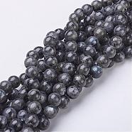 Natural Larvikite/Black Labradorite Beads Strands, Round, about 8mm, Hole: 1mm, about 47~49pcs/strand, 15.5 inch(GSR8mmC128)