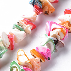 Natural Trochid Shell/Trochus Shell Bead Strands, Dyed, Nuggets, Colorful, 8~16x7~13x2~15mm, Hole: 1.2mm, about 39~46pcs/strand, 6.89 inch~7.28 inch(17.5~18.5cm)(SSHEL-N034-105-A04)
