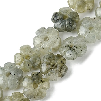 Natural Labradorite Beads Strands, Flower, 14x14x5.5mm, Hole: 1.2mm, about 29pcs/strand, 14.80''(37.6cm)