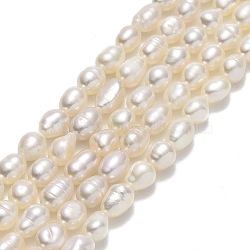 Natural Cultured Freshwater Pearl Beads Strands, Rice, Linen, 5.5x3.8mm, Hole: 0.5mm, about 69pcs/strand, 14.17''(36cm)(PEAR-J006-10F-01)