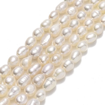 Natural Cultured Freshwater Pearl Beads Strands, Rice, Linen, 5.5x3.8mm, Hole: 0.5mm, about 69pcs/strand, 14.17''(36cm)
