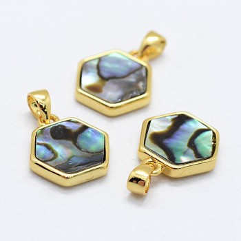 Abalone Shell/Paua ShellCharms, with Brass Findings, Hexagon, Golden, 12.5~13.5x12~12.5x2~2.5mm, Hole: 2.5x3~3.5mm