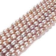 Natural Cultured Freshwater Pearl Beads Strands, Rice, Grade AA, Dark Salmon, 7~8x6~6.5mm, Hole: 0.7mm, about 45pcs/strand, 14.37''(36.5cm)(PEAR-E016-183B-01)