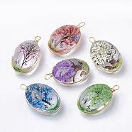 Glass Pendants, with Dried Flower Inside & Brass Findings, Oval, Golden, Mixed Color, 23x13x10mm, Hole: 2mm(GLAA-Q070-004)