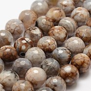 Faceted Natural Fire Crackle Agate Beads Strands, Round, Dyed & Heated, Khaki, 12mm, Hole: 1.5mm,about 30~32pcs/strand, 14 inch(35.6cm)(X-G-F447-12mm-B14)