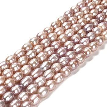 Natural Cultured Freshwater Pearl Beads Strands, Rice, Grade AA, Dark Salmon, 7~8x6~6.5mm, Hole: 0.7mm, about 45pcs/strand, 14.37''(36.5cm)