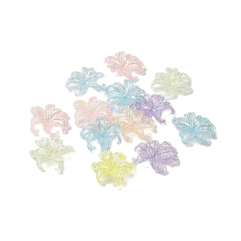 Transparent Acrylic Bead Caps, Flower, Mixed Color, 37x42.5x8mm, Hole: 3mm, 113pcs/250g