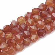 Natural Carnelian Beads Strands, Faceted, Dyed, Star Cut Round Beads, 8~10x7~8mm, Hole: 1mm, about 45~48pcs/strand, 14.2~14.6 inch(G-S332-8mm-005)