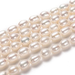 Natural Cultured Freshwater Pearl Beads Strands, Rice, Bisque, 7~8x6mm, Hole: 0.7mm, about 50pcs/strand, 15.35 inch(39cm)(PEAR-L033-71-01)