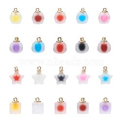 Mega Pet 80Pcs 20 Style Plastic/Resin Frosted Pendants, Bead in Bead Pendants, Imitate Jelly, Mixed Shape, Mixed Color, 12~17x18~21.5x12~19mm, Hole: 2~2.4mm, 4pcs/style(FIND-MP0001-01)