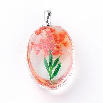 Glass Pendants, with Dried Flower Inside, Oval, Platinum, Dark Orange, 31x18x10~11mm, Hole: 5x2mm