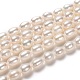 Natural Cultured Freshwater Pearl Beads Strands(PEAR-L033-71-01)-1