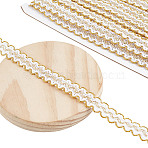 Polyester Filigree Wavy Lace Ribbon, Clothes Accessories, Curtain Decoration, White, 5/8 inch(15mm)(OCOR-WH0082-211C)