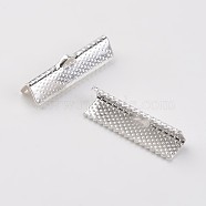 Iron Ribbon Crimp Ends, Silver Color Plated, 8x25mm, Hole: 1.6mm(E182Y-S)