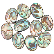 10Pcs Natural Paua Shell Cabochons, Oval, 14.5x10.5x3mm(FIND-BC0005-54)