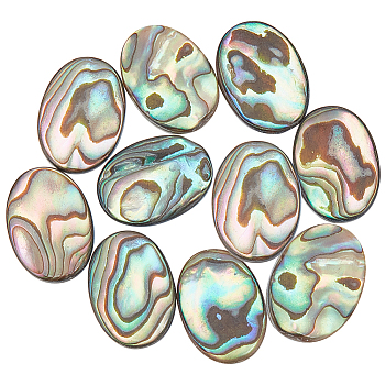 10Pcs Natural Paua Shell Cabochons, Oval, 14.5x10.5x3mm