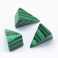 Synthetic Malachite Beads, Cone, Undrilled/No Hole Beads, 25x14x14.5mm(G-E490-D07)