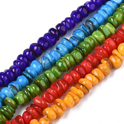 Natural Trochid Shell/Trochus Shell Beads Strands, Dyed, Flat Round, Mixed Color, 5~10x1~7mm, Hole: 1mm, about 94~116pcs/strand, 14.96 inch~15.94 inch(38cm~40.5cm)(SHEL-S258-081)