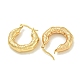 Ion Plating(IP) 304 Stainless Steel Hoop Earrings for Women(EJEW-G401-01D-G)-2