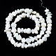 Natural Trochid Shell/Trochus Shell Beads Strands(SSHEL-N034-78-A01)-2