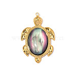 304 Stainless Steel & Shell Pendants, Tortoise Charm, Real 18K Gold Plated, Ion Plating(IP), Long-Lasting Plated, Colorful, 34x23mm,Hole:1.40mm(STAS-OY014-48G)