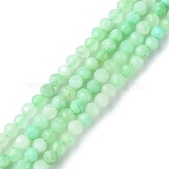 Natural Chrysoprase Beads Strands, Faceted, Round, 3mm, Hole: 0.7mm, about 130~140pcs/strand, 15.35~15.47 inch(39~39.3cm)(G-F748-X01-02A)